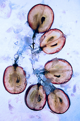 半透明的红色葡萄果实片素材图片