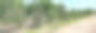 在乡村公路附近种植不同等级的丁香幼树。阳光明媚，春日美景尽收眼底。几张户外照片的拼贴画。图片下载