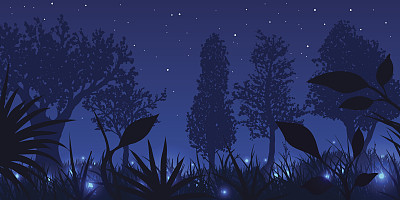 夜间萤火虫闪烁的森林。矢量插图。图片下载