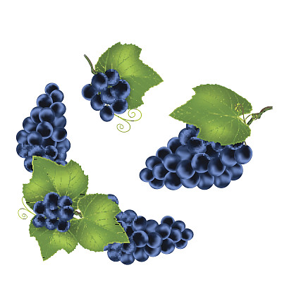 串葡萄图片下载
