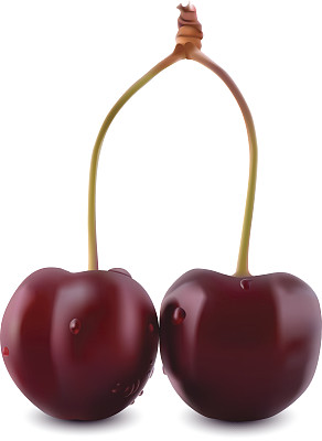 甜矢量3D现实樱桃，孤立在白色背景。图片下载