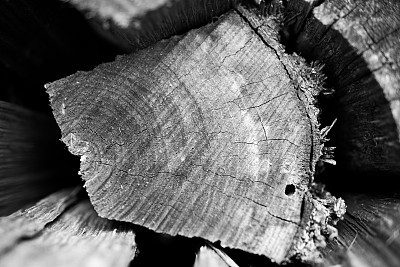 木色黑白图片下载