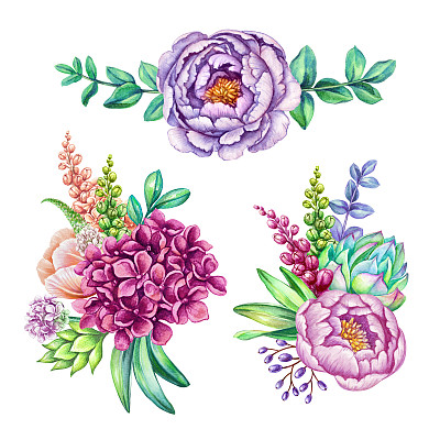 水彩插图，花卉剪辑艺术集，野花收集，花束设计元素，绣球，牡丹，绿叶，孤立在白色的背景素材图片
