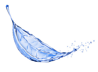 水以树叶的形式飞溅，孤立在白色的背景上图片下载