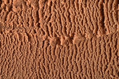 冰淇淋的背景图片下载