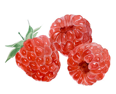 覆盆子水彩。三个草莓。图片下载