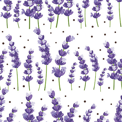 带花的薰衣草卡片。复古标签与普罗旺斯紫罗兰薰衣草。图片下载