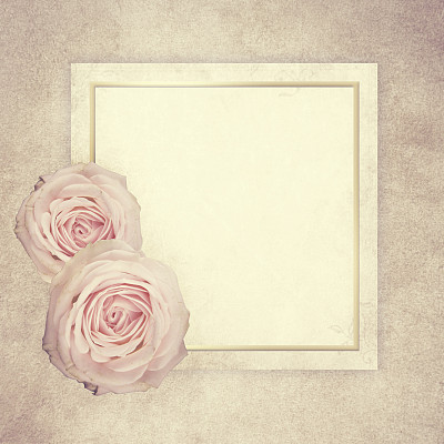 复古贺卡与玫瑰和地方的文字。图片下载