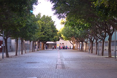 昏暗的城市大道图片下载