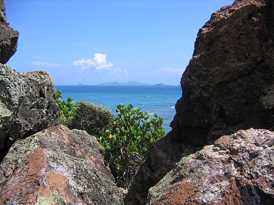 棕榈岛屿图片下载
