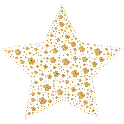 用很多花做成的花星图片下载