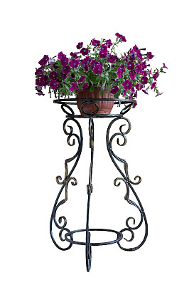 佩妮在一个花盆里，孤零零地站在一个架子上。图片下载