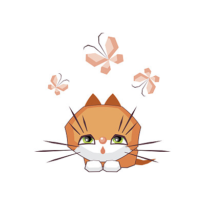 小有趣的猫图片下载