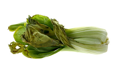 烂白菜图片下载