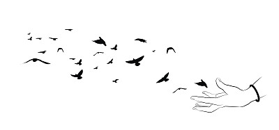 飞翔的小鸟和白色背景上的手的剪影。矢量插图。孤立的鸟飞和手。绘画解剖学。图片下载