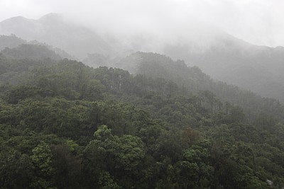 渣甸山是港岛多山的一部分，有雾图片下载