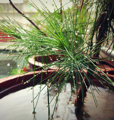自然雨图片下载