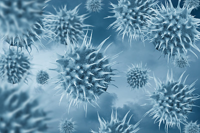 对抗病毒或细菌。图片下载