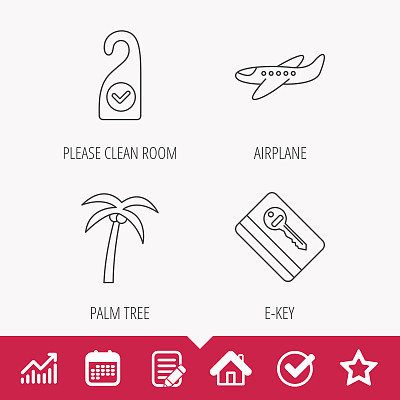 棕榈树，飞机和电子键图标。图片下载