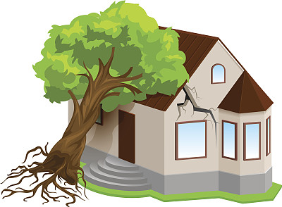 自然灾害财产保险。地震时树倒在房子上图片下载