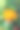 金盏花图片素材ID：171305860