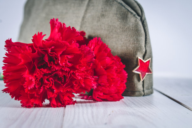 康乃馨花、乔治绶带和军帽上有一颗红星。5月9日胜利日图片下载
