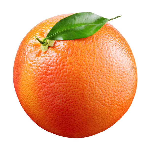 葡萄柚叶子孤立在白色背景上。剪切路径。全景深。图片下载