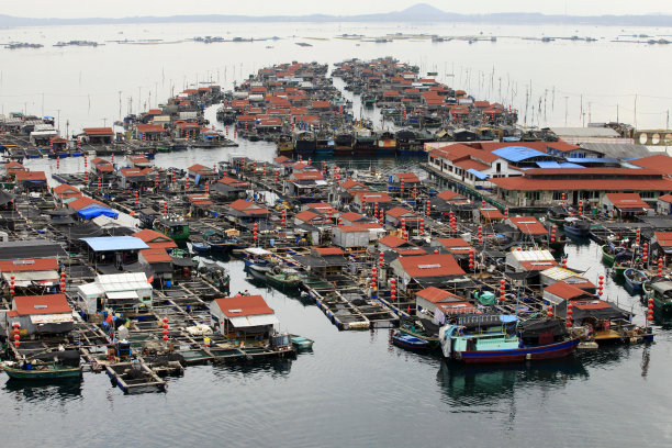 村子里有吉普赛人图片下载