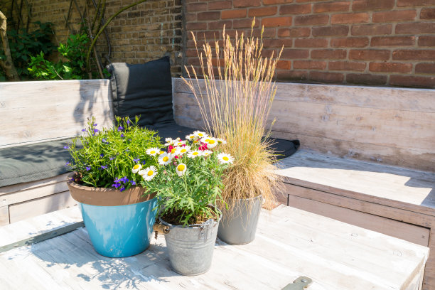 荷兰斯赫弗宁根老城木桌上的植物静物图片下载