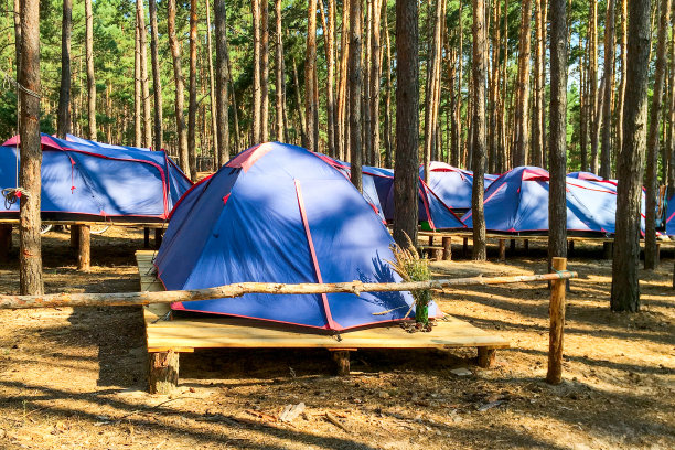 森林中木制平台上的童子军或游客帐篷。图片下载