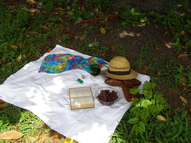 在树下野餐图片下载