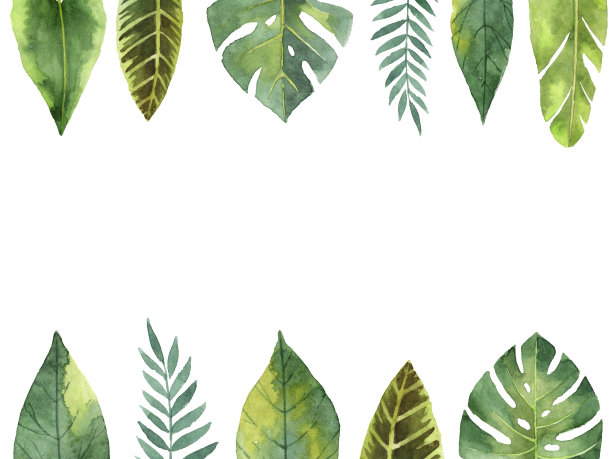 植物插画素材ID：171329470