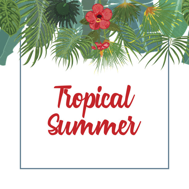 手绘热带棕榈叶和丛林异国情调的花传单模板在白色的背景与无缝框架边界图片下载