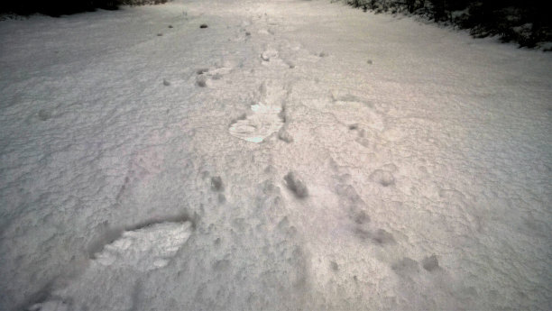 一步一步图片下载