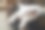 猫的睡眠图片下载