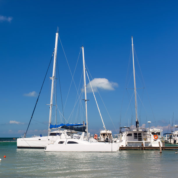 停泊在码头的游艇和帆船图片下载