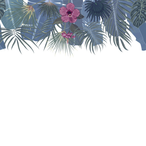 手绘热带棕榈叶和丛林异国情调的花假日模板在白色背景与无缝框架边界图片下载