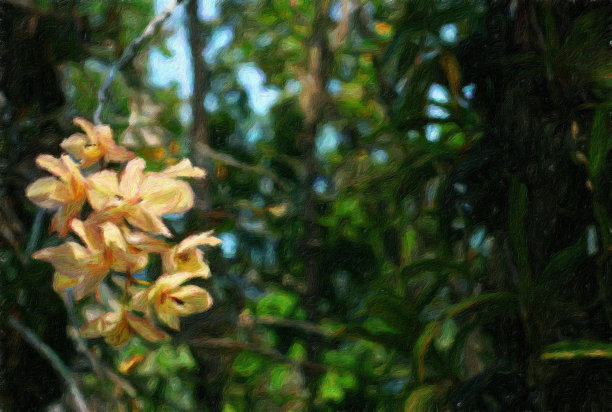 兰花花油画图片下载