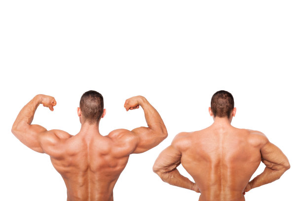 性感的赤膊的健美运动员。图片下载