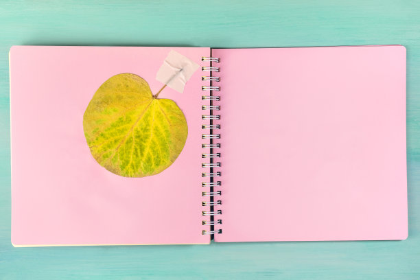 植物标本馆照片，以蓝绿色为背景图片下载