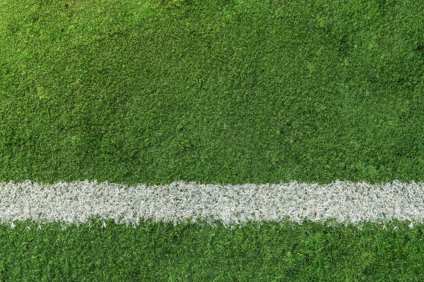 有白线的足球或足球场地素材图片