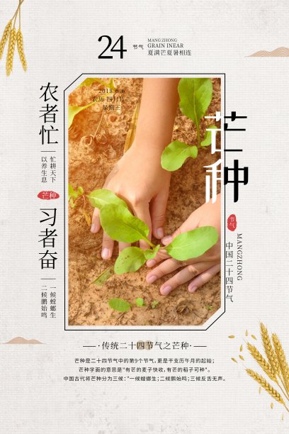 创意时尚芒种二十四节气宣传海报设计模板图片下载