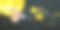 中国风中秋节传统节日展板图片下载