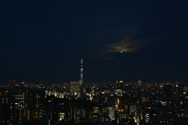 东京的夜景图片下载