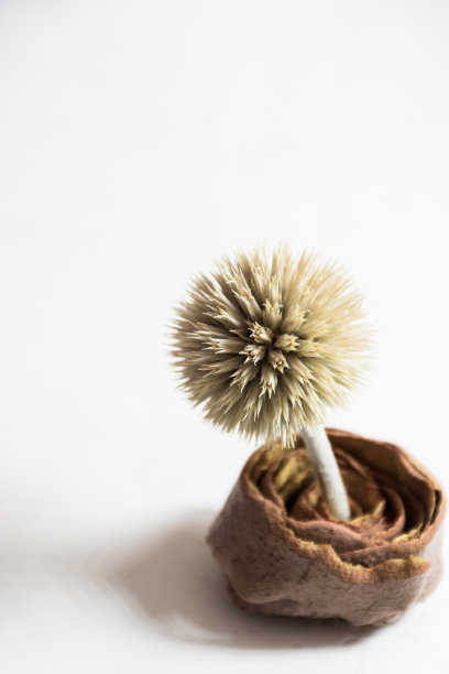 我可以保护自己图片下载