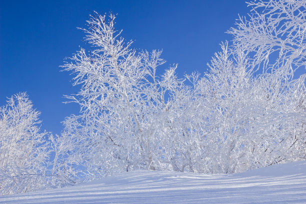 十胜岳，十胜火山群图片下载