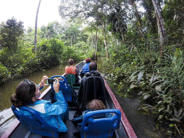 亚马逊热带雨林图片素材ID：300006180