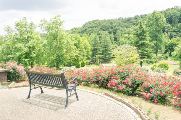 板凳上风光图片下载