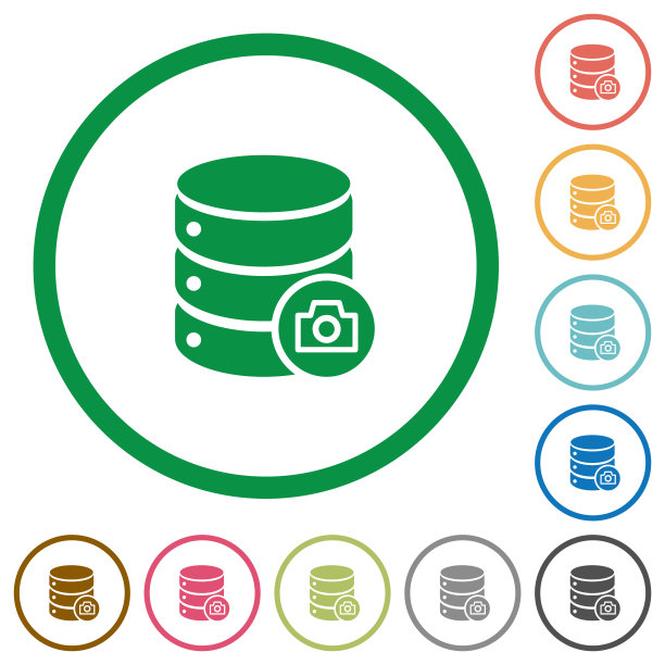 数据库快照带轮廓的平面图标图片下载