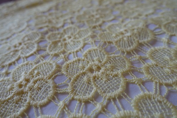 带有花卉图案的淡黄色花边织物图片下载